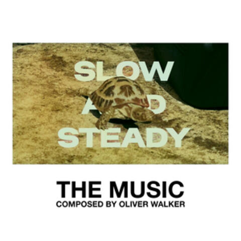 Slow And Steady