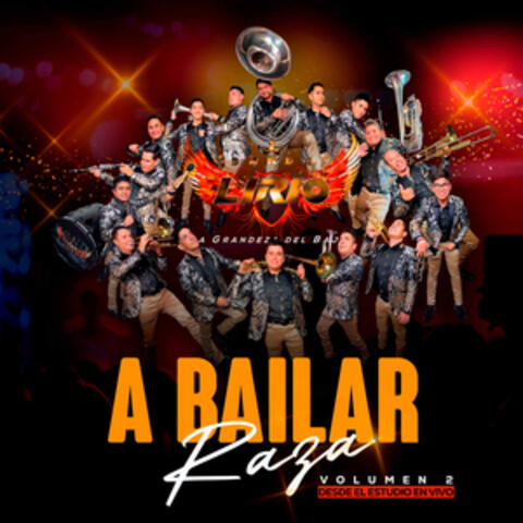 A Bailar Raza, Volumen. 2