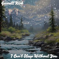 I Can't Sleep Without You