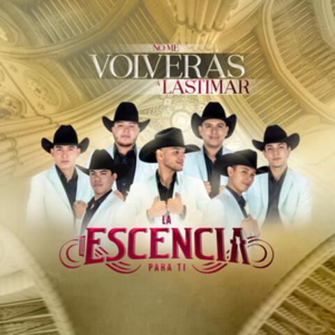 No Me Volverás A Lastimar