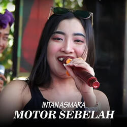 Motor Sebelah