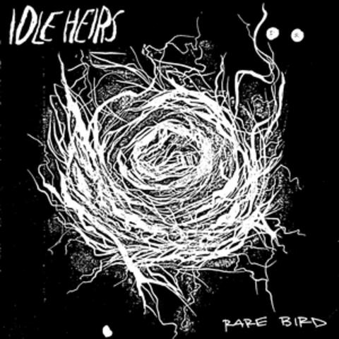 Rare Bird