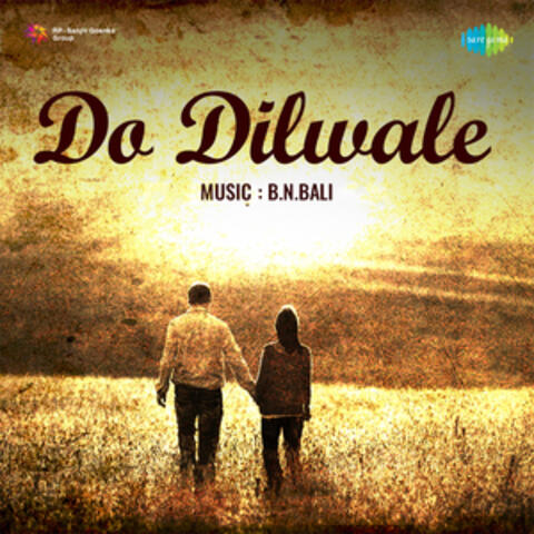 Do Dilwale (Original Motion Picture Soundtrack)