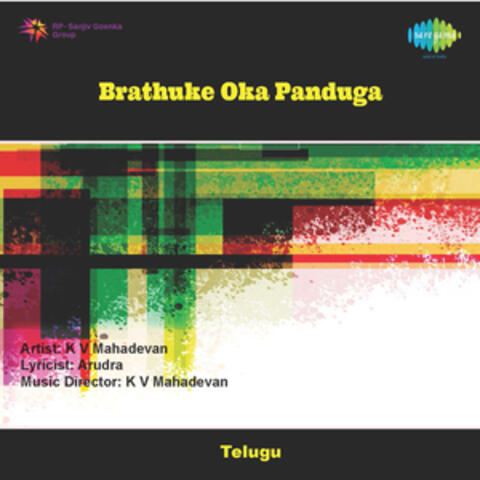 Ennienni Muddulu (From "Brathuke Oka Panduga")