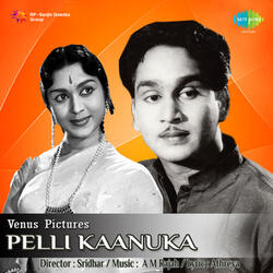 Vaadutha Marachedhavala