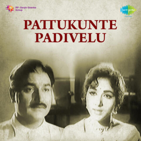 Pattukunte Padivelu (Original Motion Picture Soundtrack)