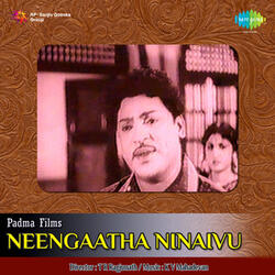 Oh Chinnanchiru Malarai (From "Neengaatha Ninaivu")