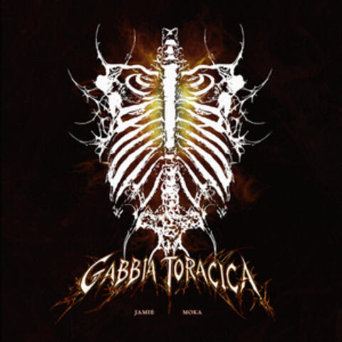 Gabbia Toracica
