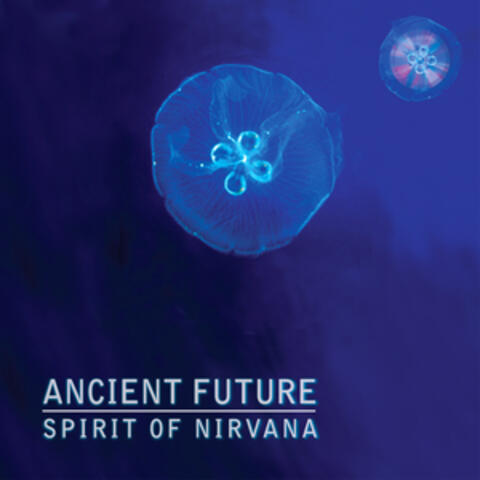 Spirit of Nirvana