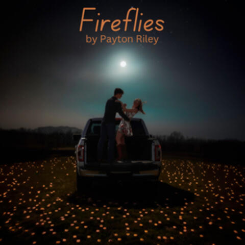 Fireflies