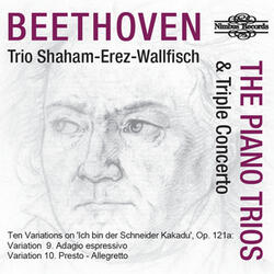 Ten Variations on 'Ich bin der Schneider Kakadu' in G Major, Op. 121a: Var. IX & X