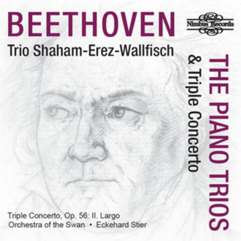 Triple Concerto in C Major, Op. 56: II. Largo