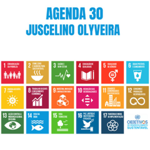 Agenda 30