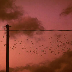 Warm wind