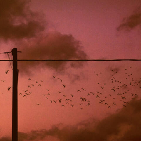 Warm wind