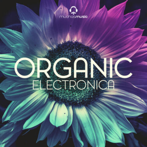 Organic Electronica