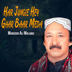 Main Han Nokar To Sardar