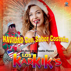 Llegaron Las Navidades