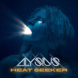 Heat Seeker