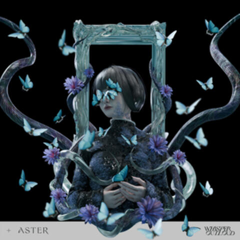 Aster