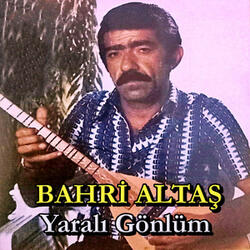 Harman Yeri / Dut Ağacı