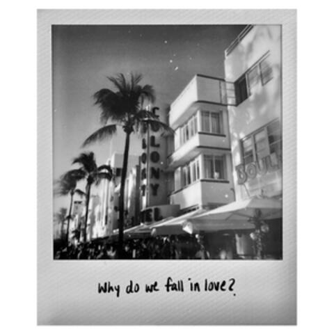 Why Do We Fall In Love?