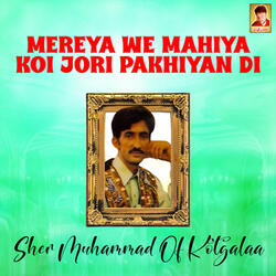 Mereya We Mahiya Koi Jori Pakhiyan Di