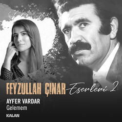 Gelemem (Feyzullah Çınar Eserleri 2)