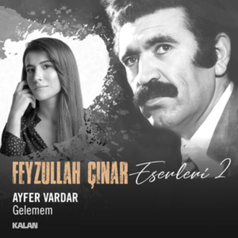 Gelemem (Feyzullah Çınar Eserleri 2)