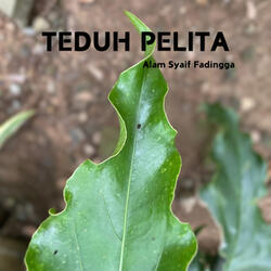 Teduh Pelita