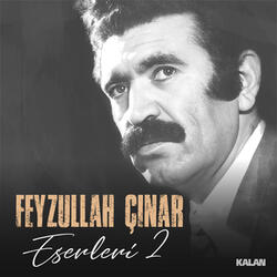 Gelemem (Feyzullah Çınar Eserleri 2)