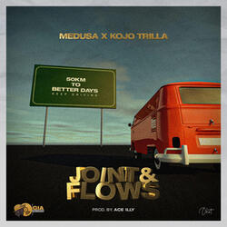 Joint and Flows
