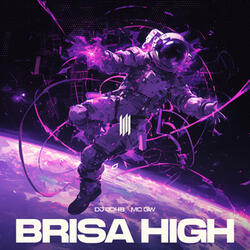 BRISA HIGH