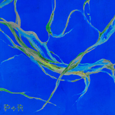 P + R