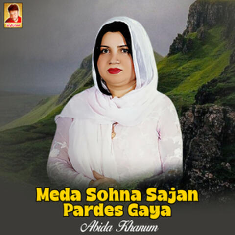 Meda Sohna Sajan Pardes Gaya - Single