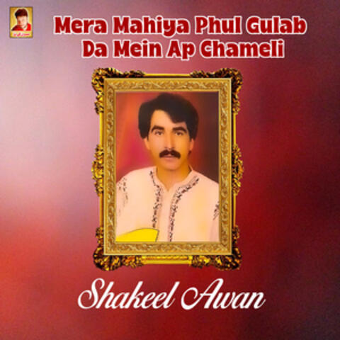 Mera Mahiya Phul Gulab da Mein Ap Chameli - Single