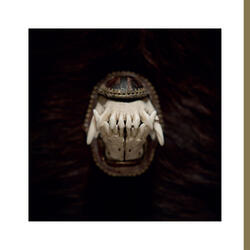 De Toorn (Talisman)