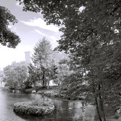 Byskogen 03