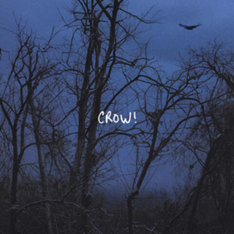 CROW!