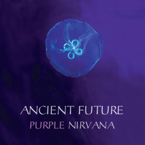 Purple Nirvana