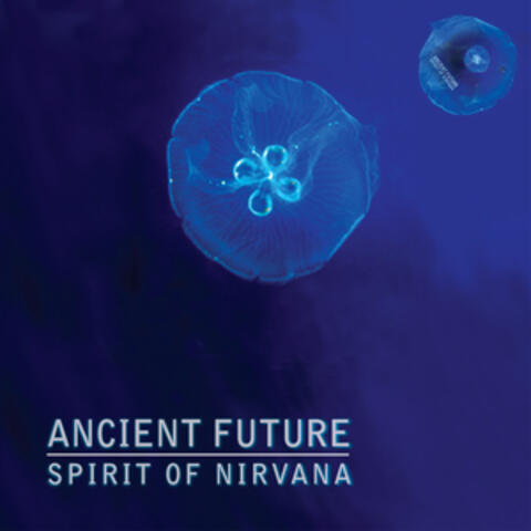 Spirit of Nirvana