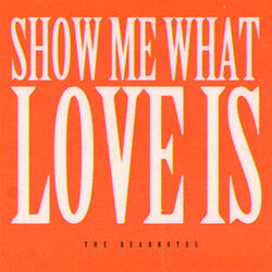 Show Me What Love Is