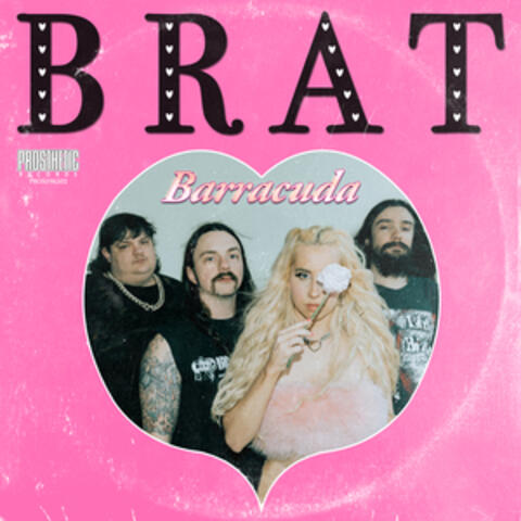 Barracuda