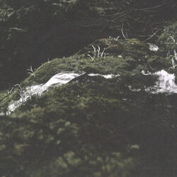 Sound Of Ice And Grass