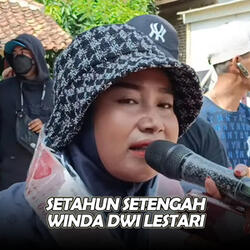 Setahun Setengah