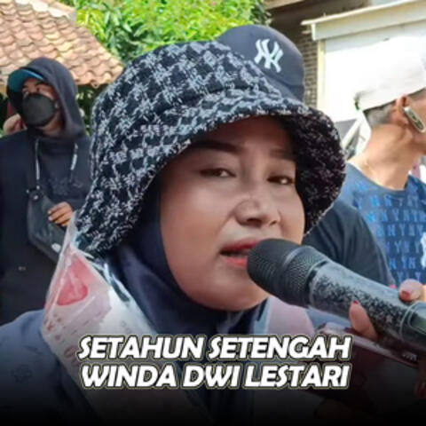 Setahun Setengah