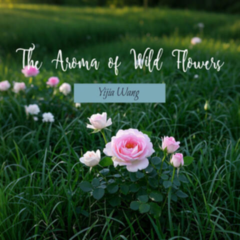 The Aroma of Wild Flowers