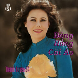 Buổi Chiều Quê Hương