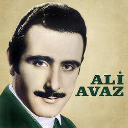 Anan Güzel mi