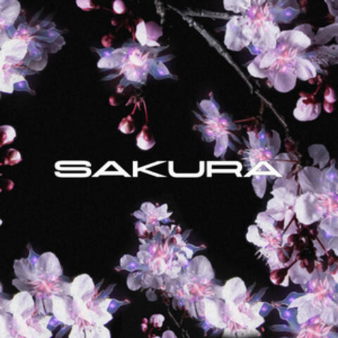 sakura